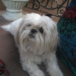 FemmeCast Video Blog #1: Activist Stretches